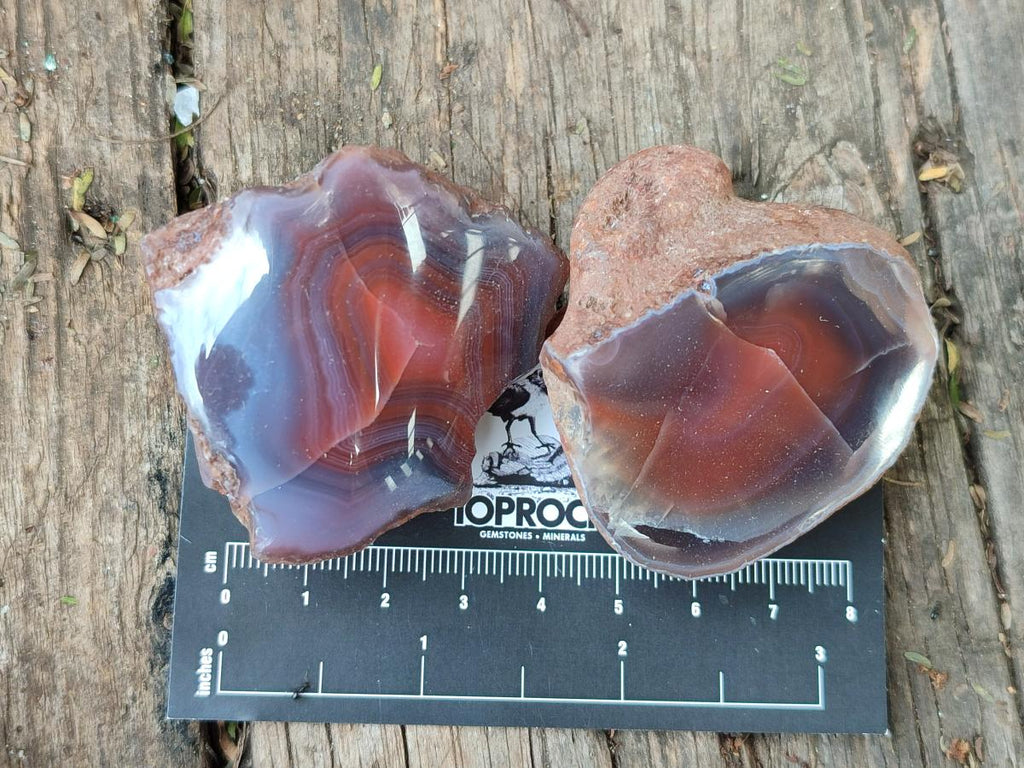 Polished One Side Red Shashe River Agate Nodules x 35 From Shashe River, Zimbabwe - Toprock Gemstones and Minerals 