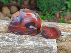 Polished One Side Red Shashe River Agate Nodules x 35 From Shashe River, Zimbabwe - Toprock Gemstones and Minerals 