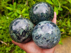 Polished Stromatolite Spheres x 3 From Katsepy, Madagascar - Toprock Gemstones and Minerals 
