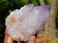 Natural Ametrine Spirit Clusters x 6 From Boekenhouthoek, South Africa - Toprock Gemstones and Minerals 