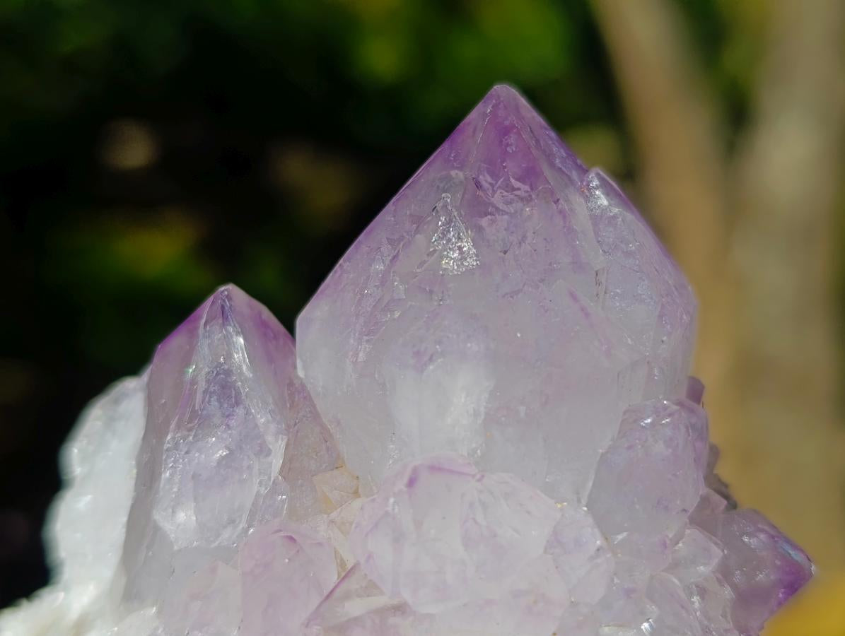 Natural Ametrine Spirit Clusters x 6 From Boekenhouthoek, South Africa - Toprock Gemstones and Minerals 