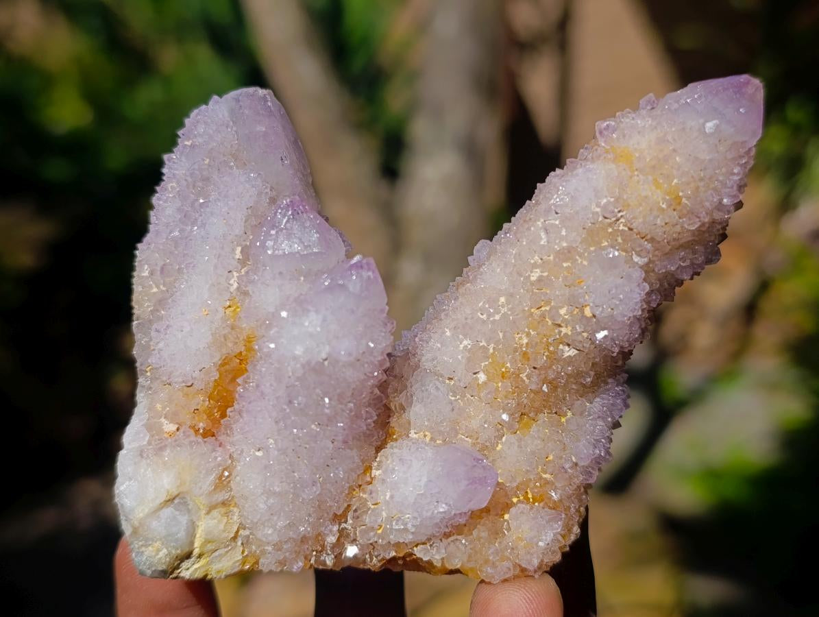 Natural Ametrine Spirit Clusters x 6 From Boekenhouthoek, South Africa - Toprock Gemstones and Minerals 