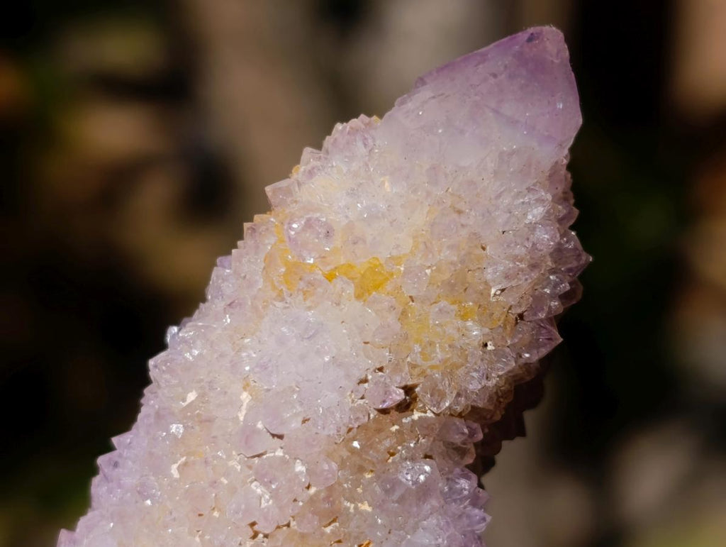 Natural Ametrine Spirit Clusters x 6 From Boekenhouthoek, South Africa - Toprock Gemstones and Minerals 