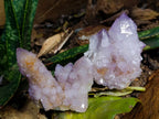 Natural Ametrine Spirit Clusters x 6 From Boekenhouthoek, South Africa - Toprock Gemstones and Minerals 