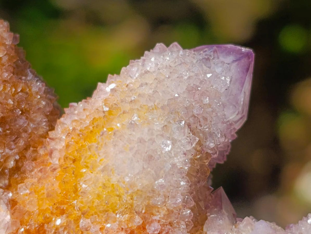 Natural Ametrine Spirit Clusters x 6 From Boekenhouthoek, South Africa - Toprock Gemstones and Minerals 