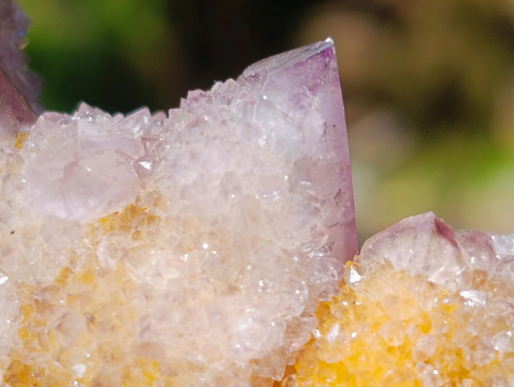 Natural Ametrine Spirit Clusters x 6 From Boekenhouthoek, South Africa - Toprock Gemstones and Minerals 