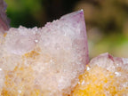Natural Ametrine Spirit Clusters x 6 From Boekenhouthoek, South Africa - Toprock Gemstones and Minerals 