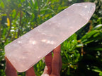Polished Gemmy Rose Quartz Crystals x 2 From Madagascar - Toprock Gemstones and Minerals 