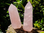 Polished Gemmy Rose Quartz Crystals x 2 From Madagascar - Toprock Gemstones and Minerals 