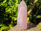 Polished Gemmy Rose Quartz Crystals x 2 From Madagascar - Toprock Gemstones and Minerals 