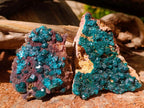 Natural Dioptase on Dolomite Specimens x 3 From Likasi, Congo - Toprock Gemstones and Minerals 
