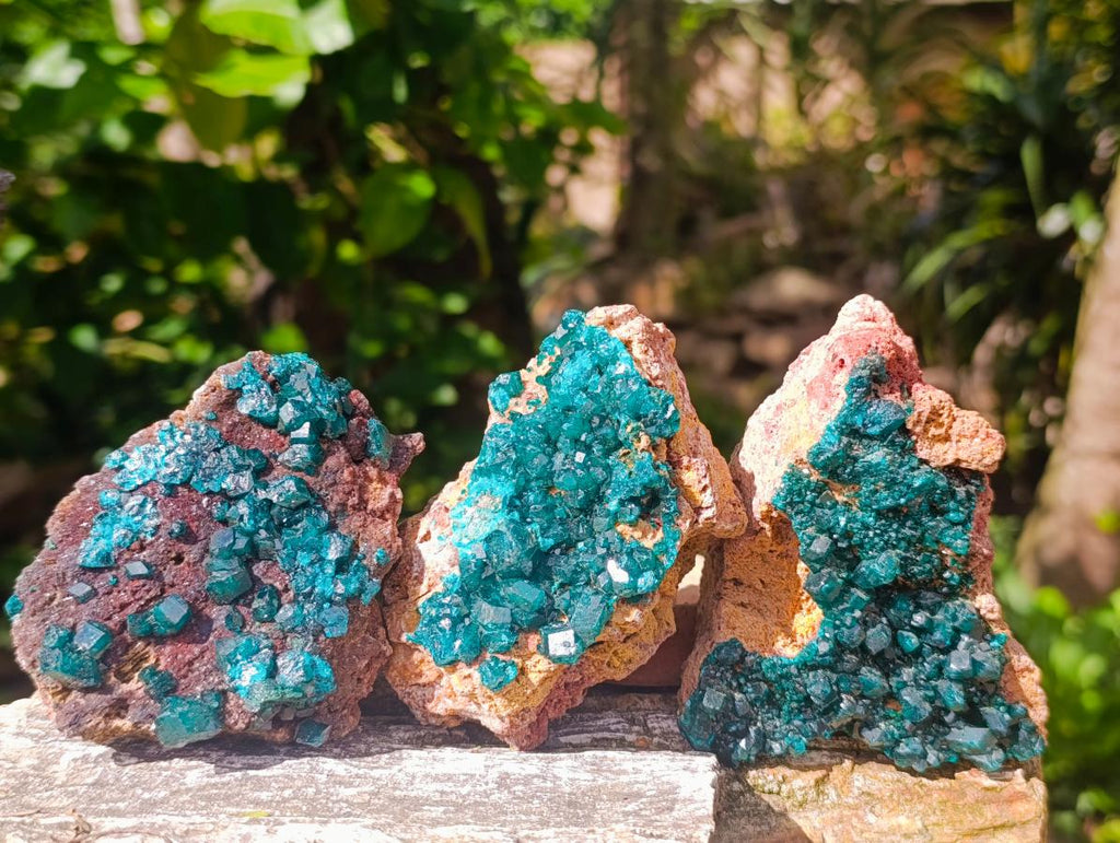 Natural Dioptase on Dolomite Specimens x 3 From Likasi, Congo - Toprock Gemstones and Minerals 