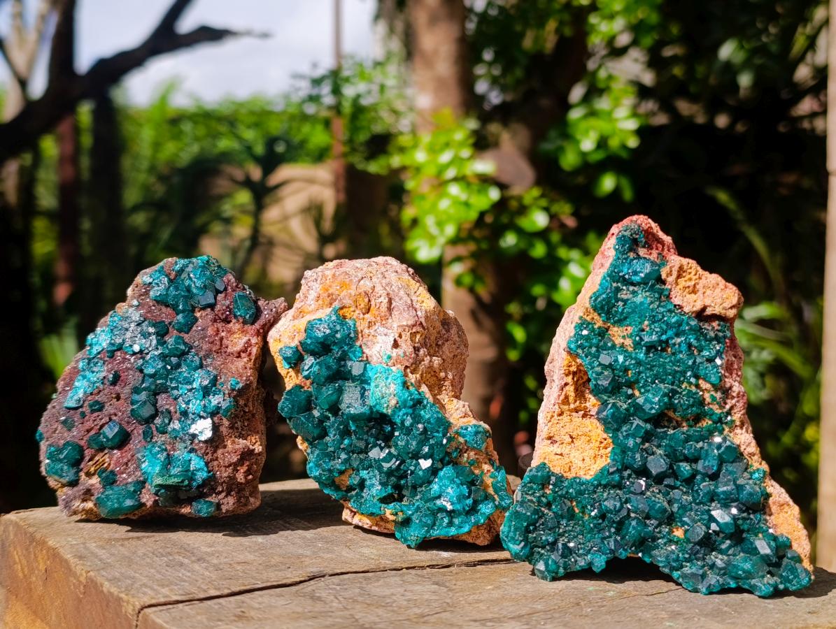 Natural Dioptase on Dolomite Specimens x 3 From Likasi, Congo - Toprock Gemstones and Minerals 