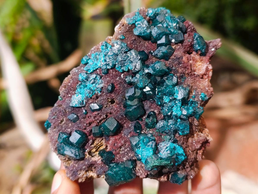 Natural Dioptase on Dolomite Specimens x 3 From Likasi, Congo - Toprock Gemstones and Minerals 