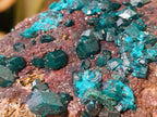 Natural Dioptase on Dolomite Specimens x 3 From Likasi, Congo - Toprock Gemstones and Minerals 