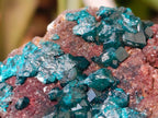 Natural Dioptase on Dolomite Specimens x 3 From Likasi, Congo - Toprock Gemstones and Minerals 