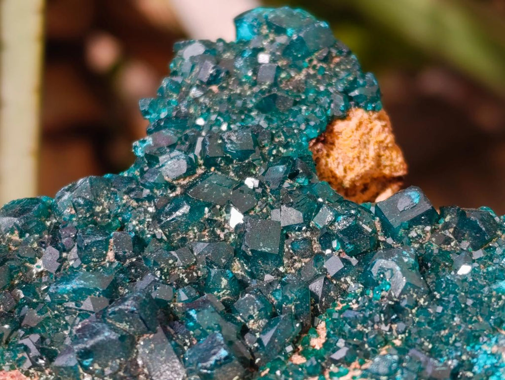 Natural Dioptase on Dolomite Specimens x 3 From Likasi, Congo - Toprock Gemstones and Minerals 