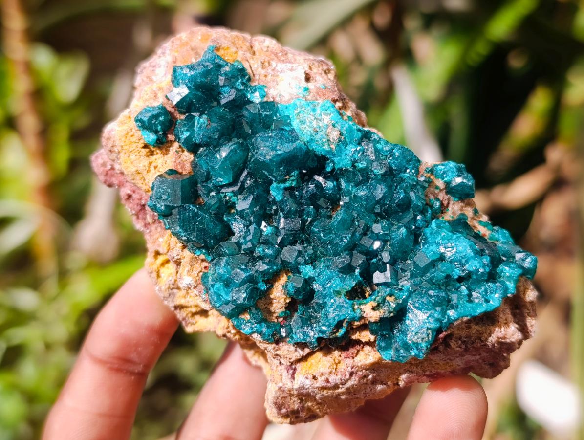 Natural Dioptase on Dolomite Specimens x 3 From Likasi, Congo - Toprock Gemstones and Minerals 