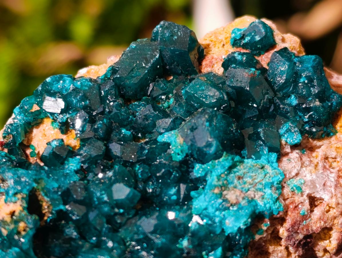 Natural Dioptase on Dolomite Specimens x 3 From Likasi, Congo - Toprock Gemstones and Minerals 