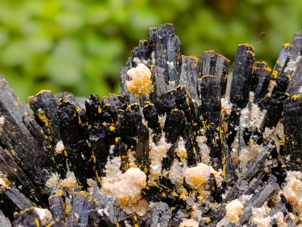 Natural Large Splayed Schorl Black Tourmaline Specimens with Hyalite Opal x 1 From Erongo, Namibia - Toprock Gemstones and Minerals 
