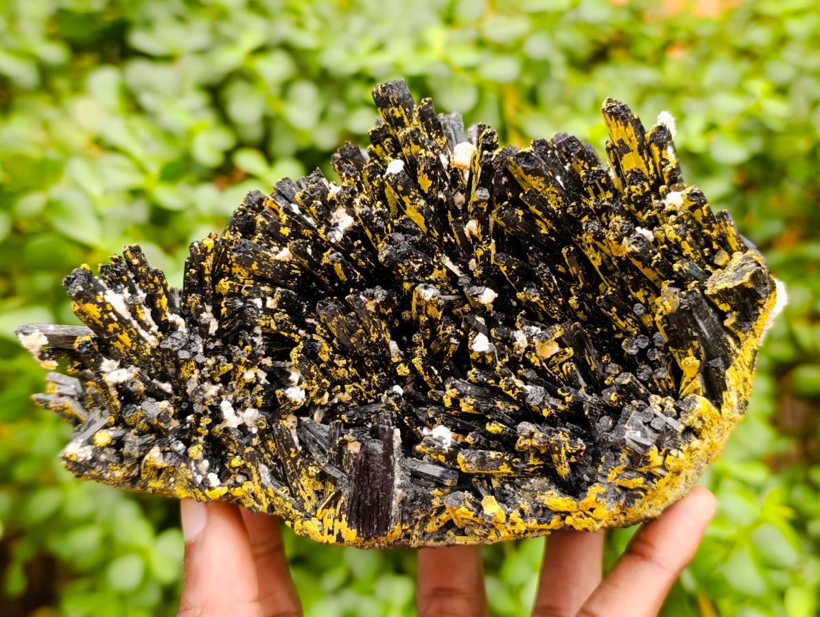 Natural Large Splayed Schorl Black Tourmaline Specimens with Hyalite Opal x 1 From Erongo, Namibia - Toprock Gemstones and Minerals 