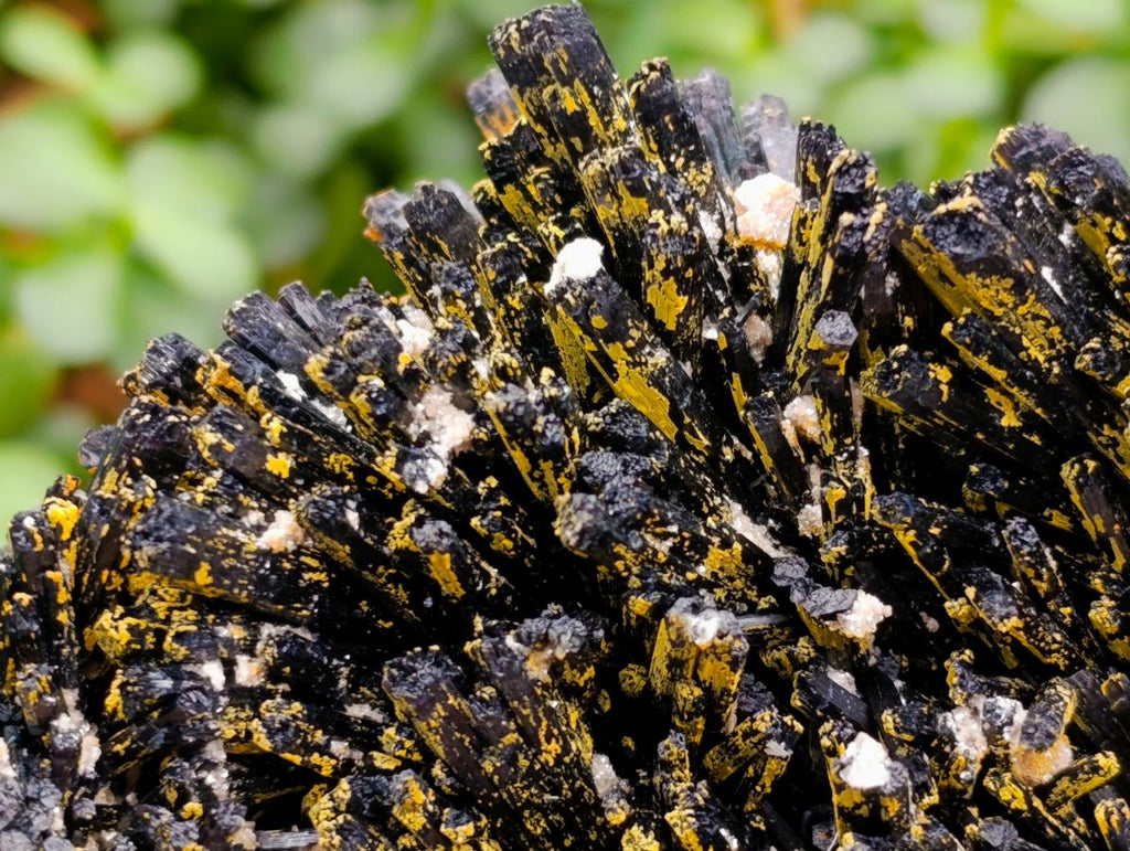 Natural Large Splayed Schorl Black Tourmaline Specimens with Hyalite Opal x 1 From Erongo, Namibia - Toprock Gemstones and Minerals 