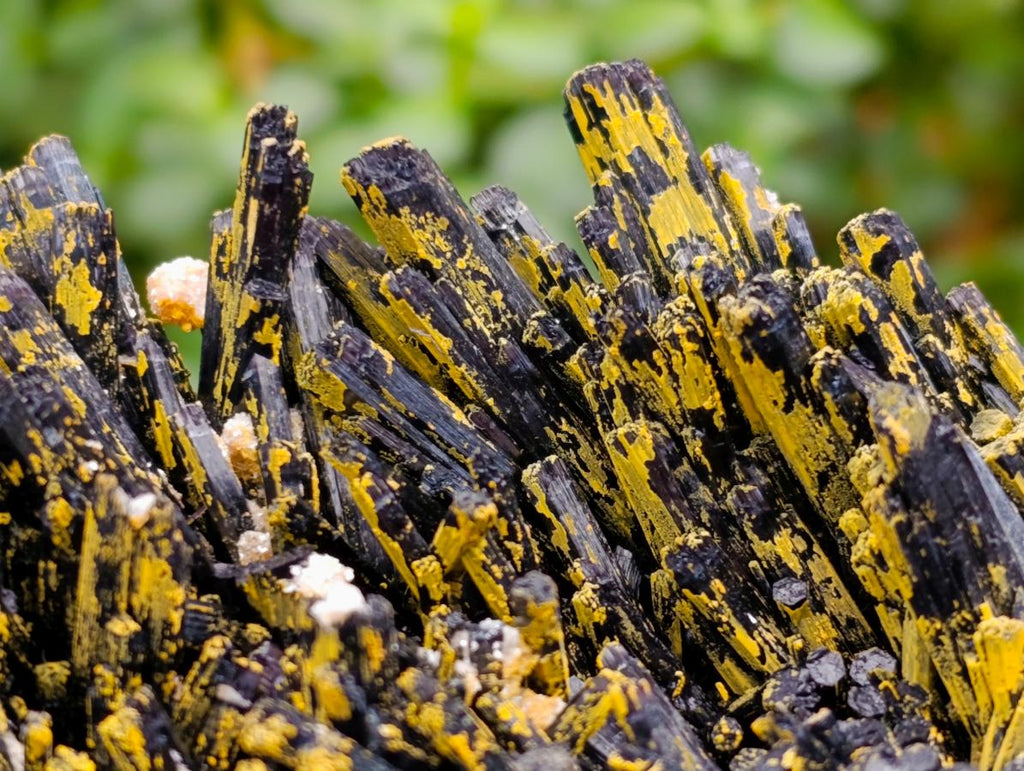 Natural Large Splayed Schorl Black Tourmaline Specimens with Hyalite Opal x 1 From Erongo, Namibia - Toprock Gemstones and Minerals 