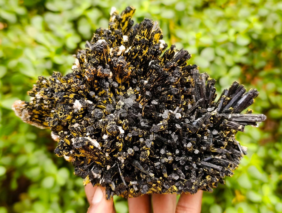 Natural Large Splayed Schorl Black Tourmaline Specimens with Hyalite Opal x 1 From Erongo, Namibia - Toprock Gemstones and Minerals 