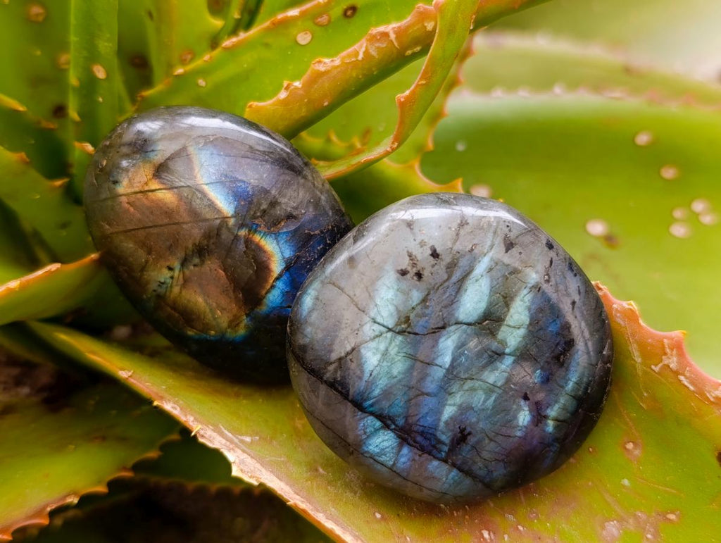 Polished Labradorite Palm Stones x 20 From Madagascar - Toprock Gemstones and Minerals 