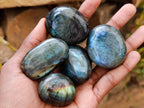 Polished Labradorite Palm Stones x 20 From Madagascar - Toprock Gemstones and Minerals 