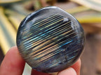 Polished Labradorite Palm Stones x 20 From Madagascar - Toprock Gemstones and Minerals 
