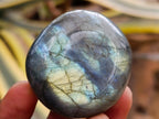 Polished Labradorite Palm Stones x 20 From Madagascar - Toprock Gemstones and Minerals 