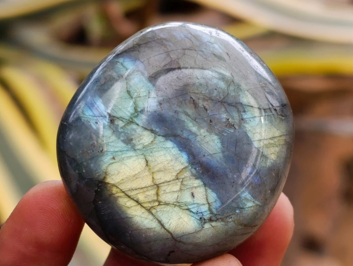 Polished Labradorite Palm Stones x 20 From Madagascar - Toprock Gemstones and Minerals 