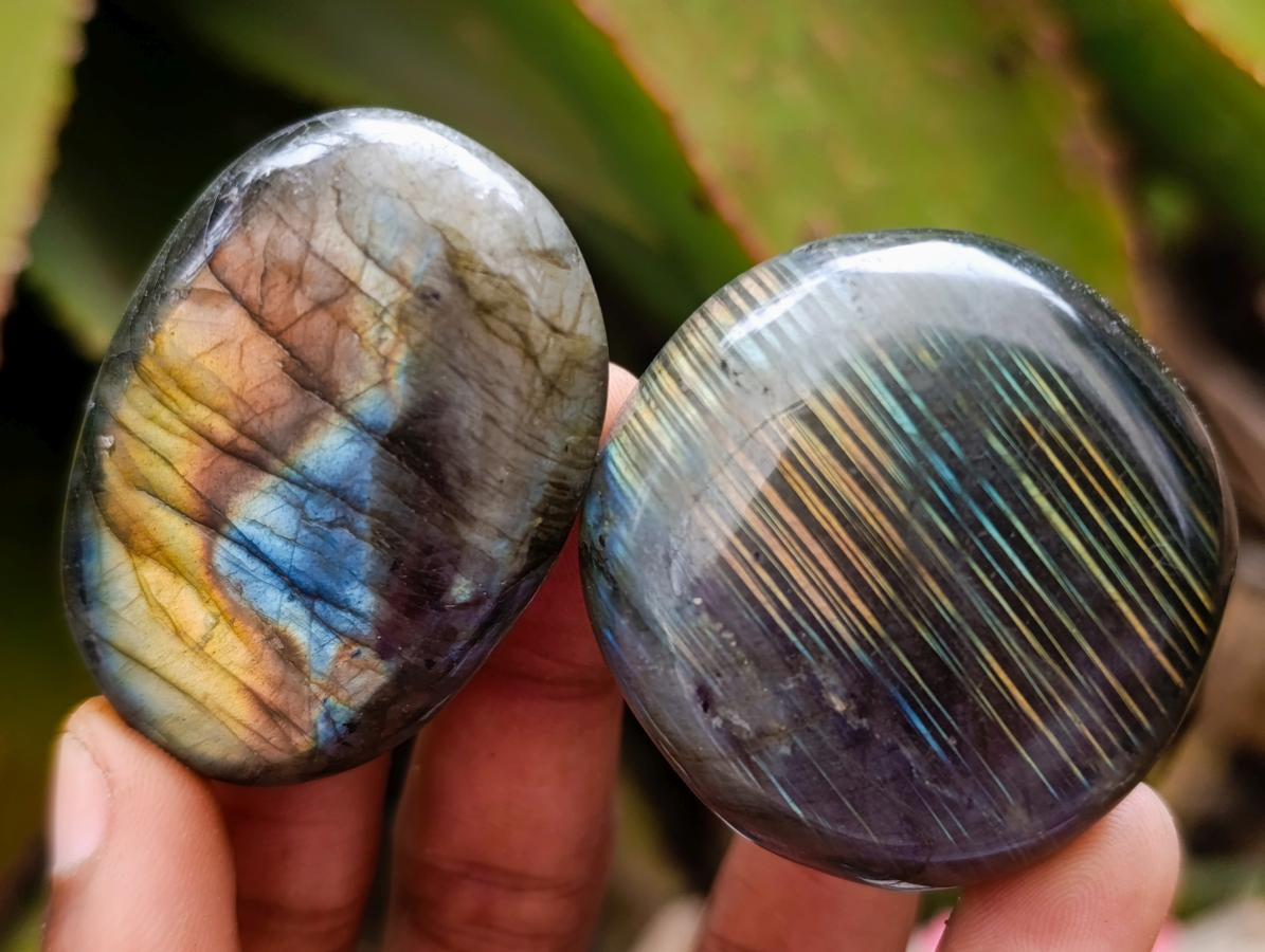 Polished Labradorite Palm Stones x 20 From Madagascar - Toprock Gemstones and Minerals 