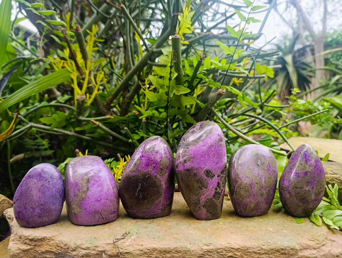Polished Stichtite Standing Free Forms x 6 From Barberton, South Africa - Toprock Gemstones and Minerals 