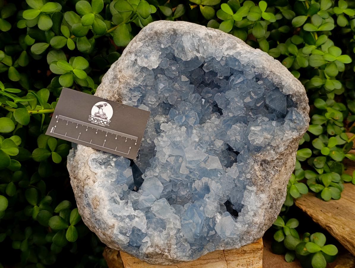 Natural XL Blue Celestite Geode Specimen x 1 From Sakoany, Madagascar - Toprock Gemstones and Minerals 