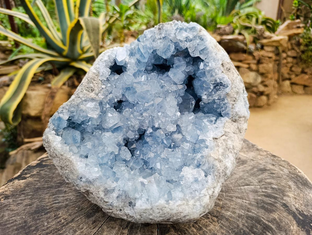 Natural XL Blue Celestite Geode Specimen x 1 From Sakoany, Madagascar - Toprock Gemstones and Minerals 