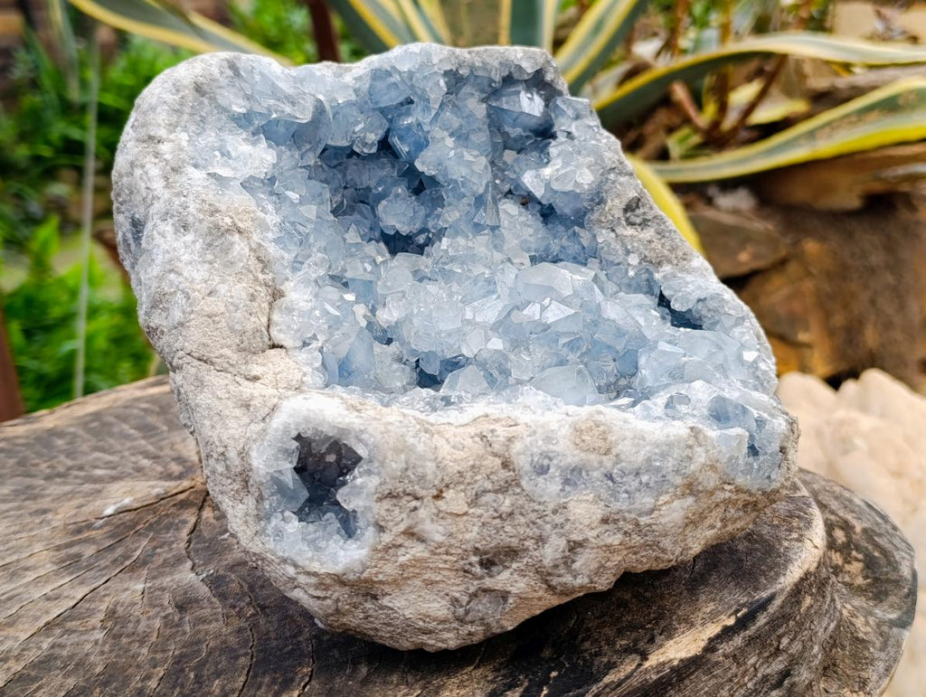 Natural XL Blue Celestite Geode Specimen x 1 From Sakoany, Madagascar - Toprock Gemstones and Minerals 
