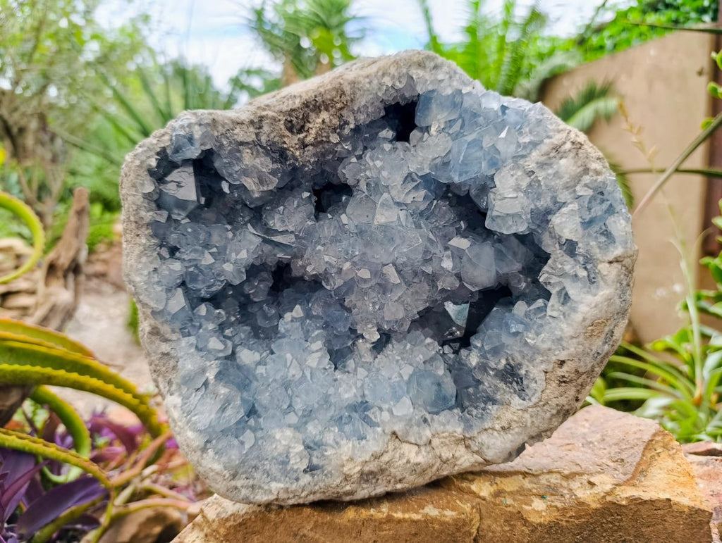 Natural XL Blue Celestite Geode Specimen x 1 From Sakoany, Madagascar - Toprock Gemstones and Minerals 