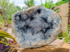 Natural XL Blue Celestite Geode Specimen x 1 From Sakoany, Madagascar - Toprock Gemstones and Minerals 