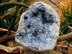 Natural XL Blue Celestite Geode Specimen x 1 From Sakoany, Madagascar - Toprock Gemstones and Minerals 