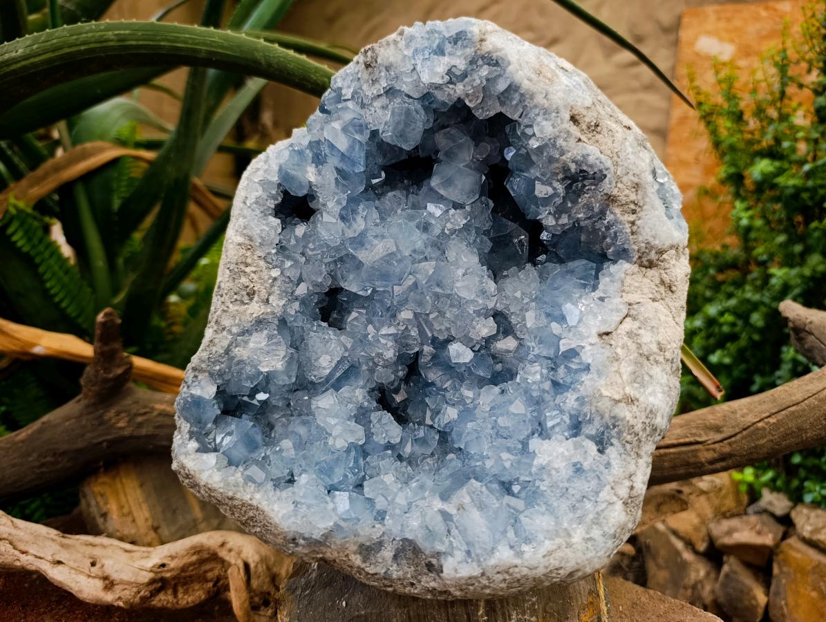 Natural XL Blue Celestite Geode Specimen x 1 From Sakoany, Madagascar - Toprock Gemstones and Minerals 