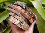 Polished Dadoxylon Petrified Wood Slices x 6 From Gokwe, Zimbabwe - Toprock Gemstones and Minerals 