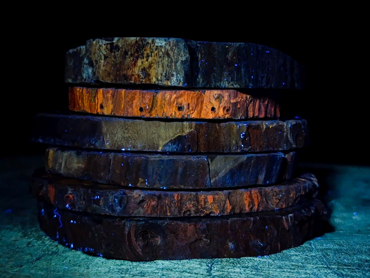 Polished Dadoxylon Petrified Wood Slices x 6 From Gokwe, Zimbabwe - Toprock Gemstones and Minerals 