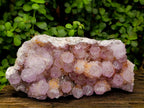 Natural Large Sunburnt Ametrine Spirit Quartz Cluster x 1 From Boekenhouthoek, South Africa - Toprock Gemstones and Minerals 
