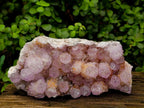 Natural Large Sunburnt Ametrine Spirit Quartz Cluster x 1 From Boekenhouthoek, South Africa - Toprock Gemstones and Minerals 