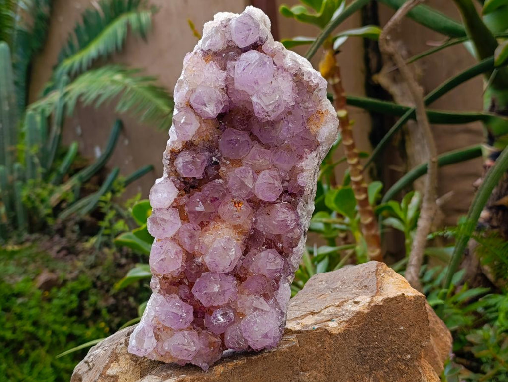 Natural Large Sunburnt Ametrine Spirit Quartz Cluster x 1 From Boekenhouthoek, South Africa - Toprock Gemstones and Minerals 