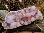Natural Large Sunburnt Ametrine Spirit Quartz Cluster x 1 From Boekenhouthoek, South Africa - Toprock Gemstones and Minerals 