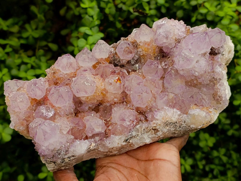 Natural Large Sunburnt Ametrine Spirit Quartz Cluster x 1 From Boekenhouthoek, South Africa - Toprock Gemstones and Minerals 