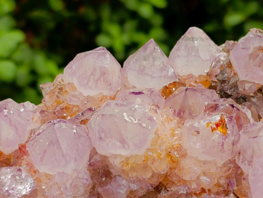 Natural Large Sunburnt Ametrine Spirit Quartz Cluster x 1 From Boekenhouthoek, South Africa - Toprock Gemstones and Minerals 